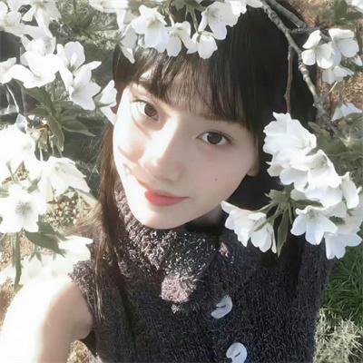 玫瑰之名