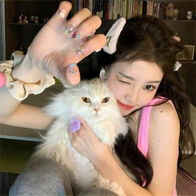 威尼斯的阿历克斯